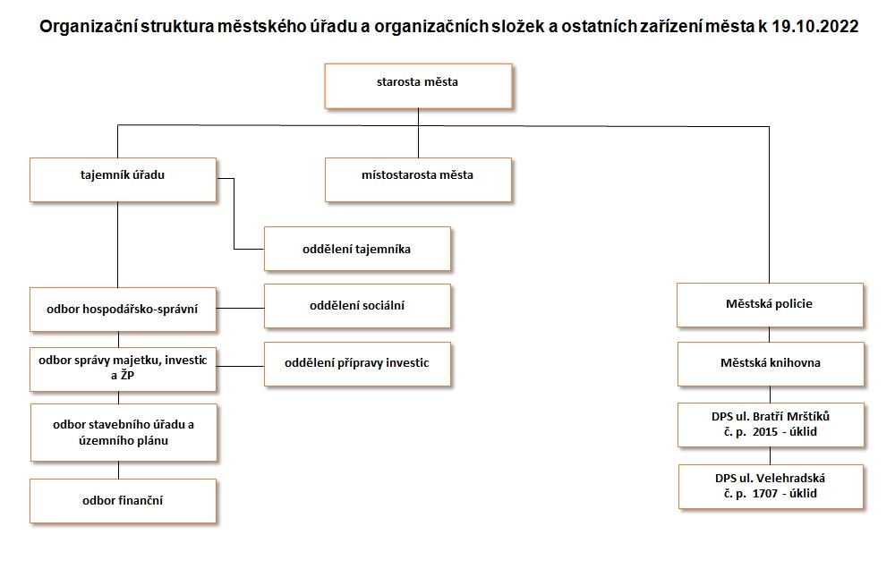 organizacni struktura.jpg