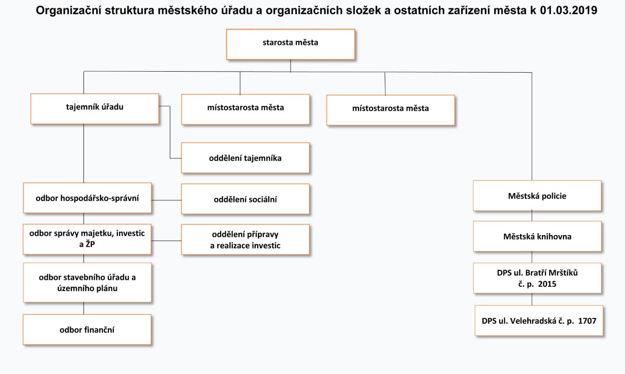 organizacni_struktura.jpg